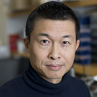 Xuesong He, PhD, DDS - Forsyth